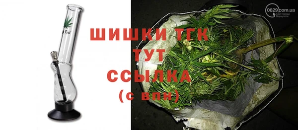 сатива Арсеньев