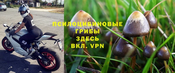 сатива Арсеньев