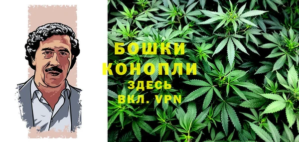 сатива Арсеньев